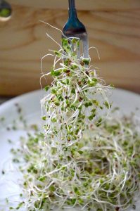 broccoli, sprouts, autism