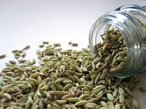 Fennel, spice, eye infections