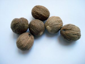 nutmeg