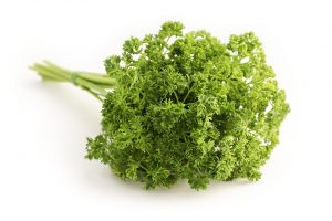 parsley, herb, bee