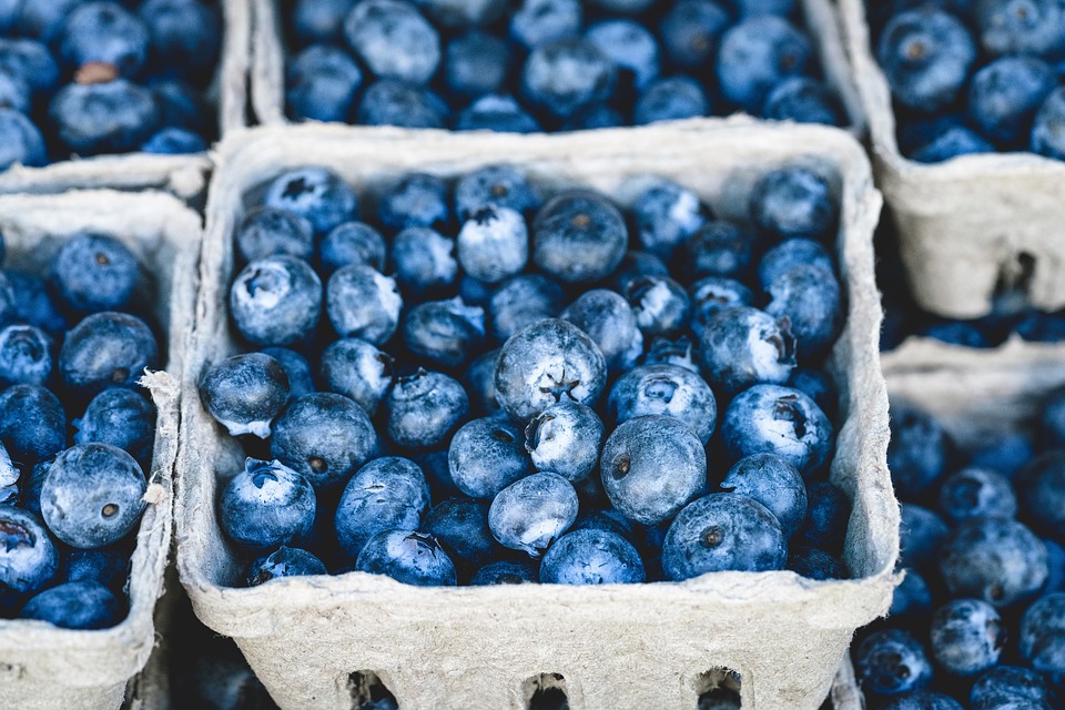 blueberries, berries, fiber, facial paralysis