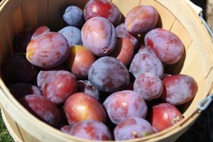 plums, prunes, juice, fruit, IBS