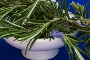 rosemary, herb, muscle cramps