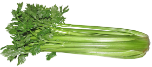 celery, vegetable, blood pressure
