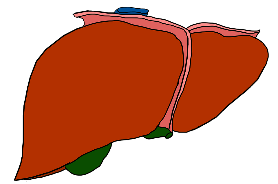 liver, prevent liver cancer