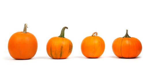 pumpkin, pumpkin health benefits, health benefits
