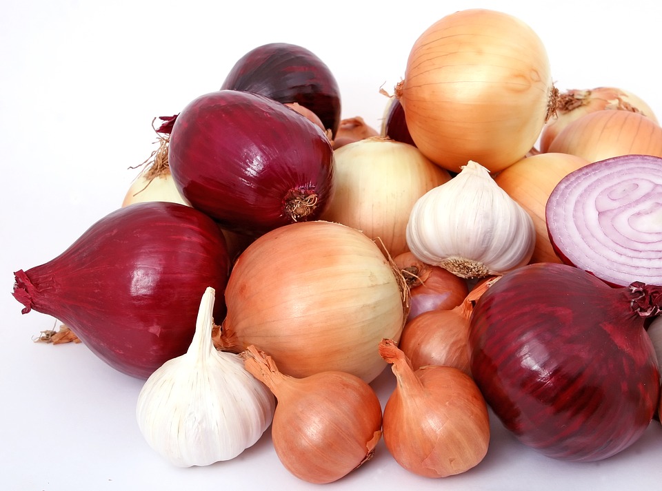 onions, onion health benefits