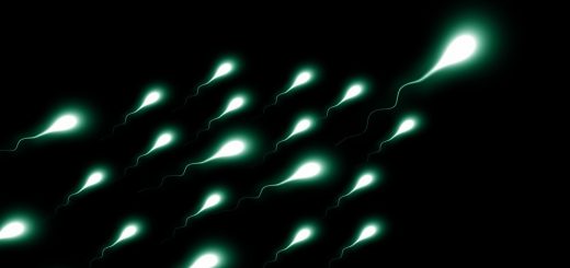 sperm, low sperm count