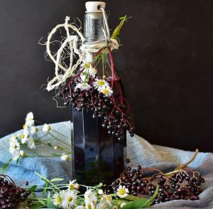 elderberry, elderberry health benefits